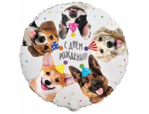 К 18" РУС ДР Собачки фотографичные