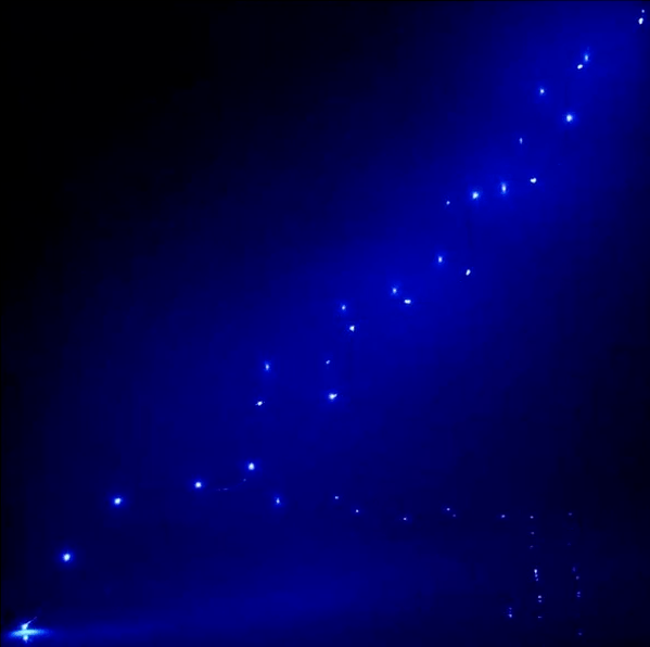 Нить для декора светодиодная на батарейках 1,5м 15 ламп LED (Синий) 