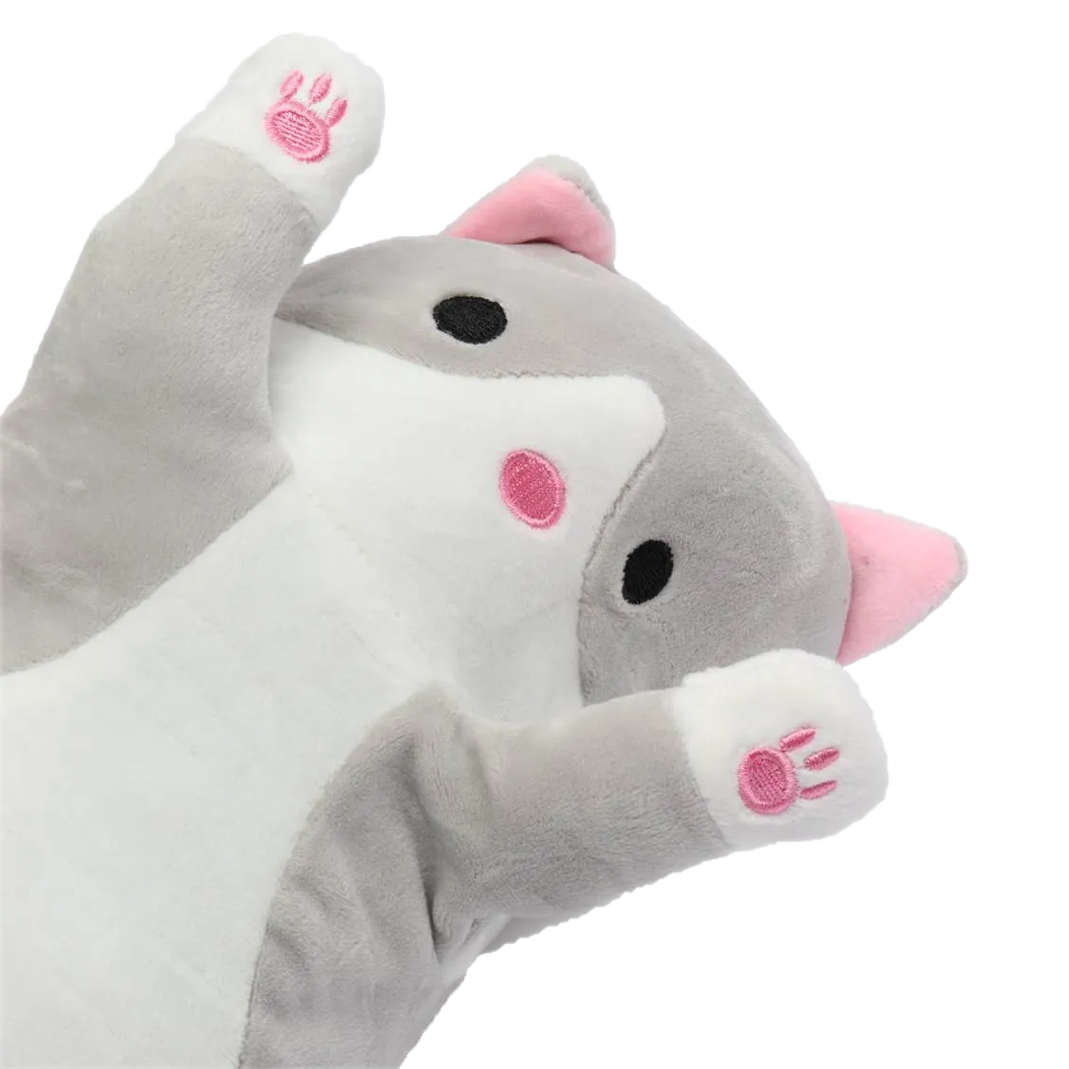 Кот из перчатки