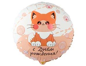 К 18" РУС ДР Котик усатый