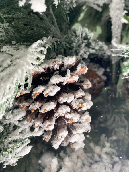 Елка Дворянская с посыпкой серебро 120 - 300см