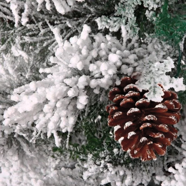 Ёлка дворянская 120-300