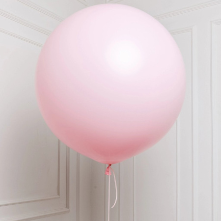 S 24 Пастель матовый Нежно-розовый1шт (Колумбия) 60см