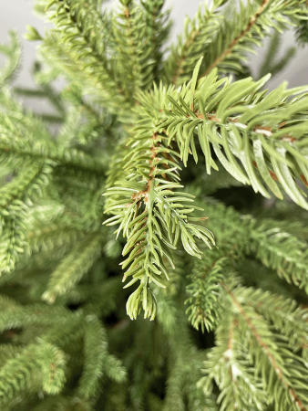 Ёлка Королевская литая 150 - 350 см