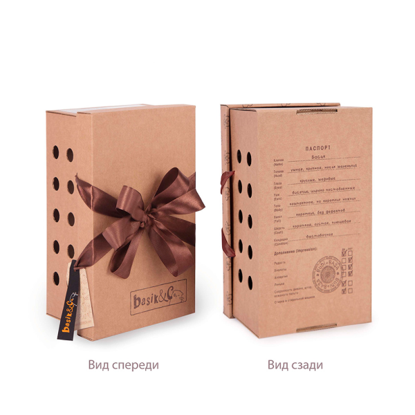 Акция! Ks25-220 Басик в зимней пижаме 25см