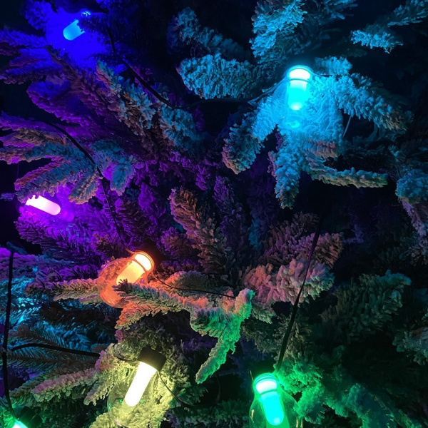 Гирлянда электрическая 6 метров (контейнер) 2200