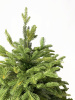 Ёлка Царская литая 150 - 350 см