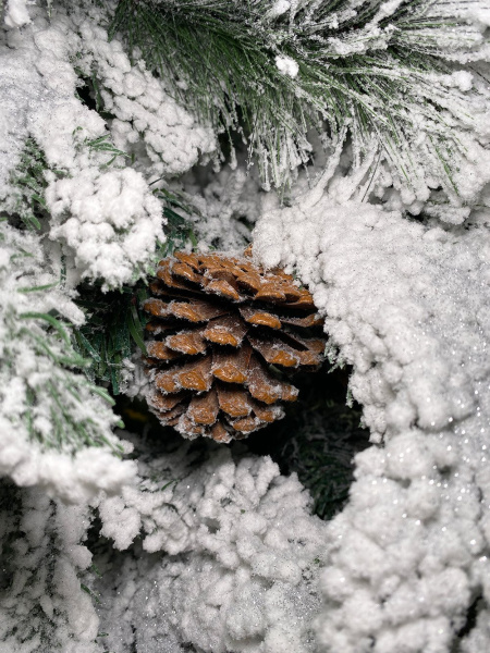 Елка Дворянская с посыпкой серебро 120 - 300см