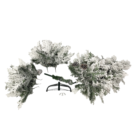 Ёлка дворянская 120-300