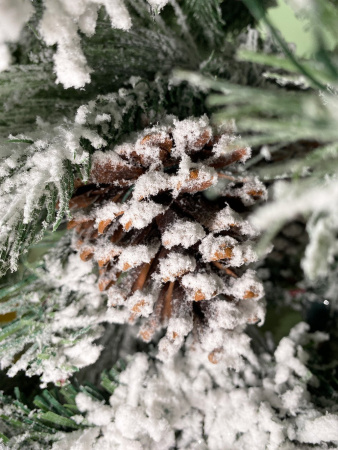 Елка Дворянская с посыпкой серебро 120 - 300см