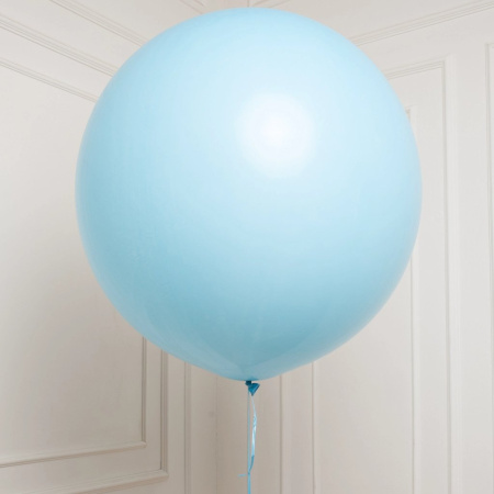 S 24 Пастель матовый Нежно-голубой 1шт (Колумбия) 60см