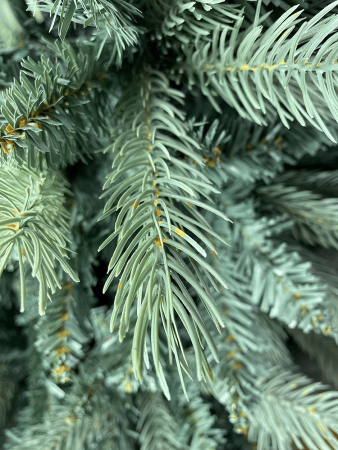 Ёлка Сказочная голубая литая 180 - 240 см