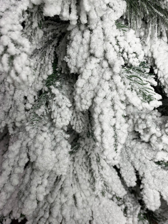 Елка Дворянская с посыпкой серебро 120 - 300см