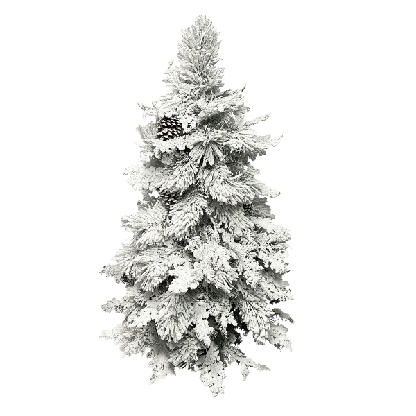 Ёлка дворянская 120-300