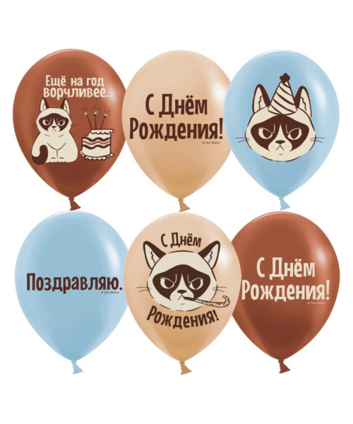 Шар (12"/30 см) С Днем Рождения! (сердитая кошка), Ассорти, пастель, 2ст.