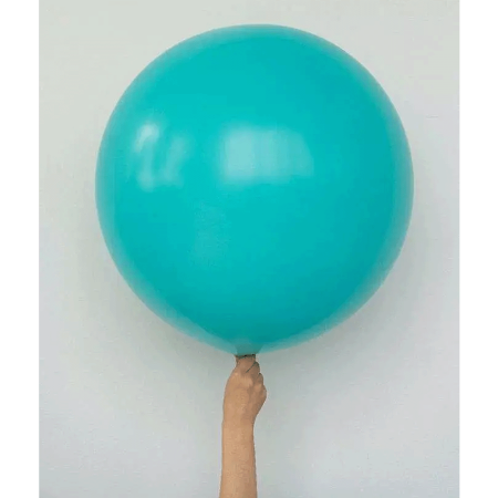 S 24 Пастель  Аквамарин 1шт (Колумбия) 60см