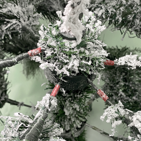 Ёлка дворянская 120-300