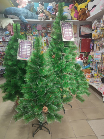 Ёлка Байкальская 120-270см (наличие шишек уточняйте)