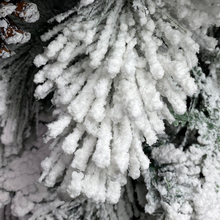 Ёлка дворянская 120-300