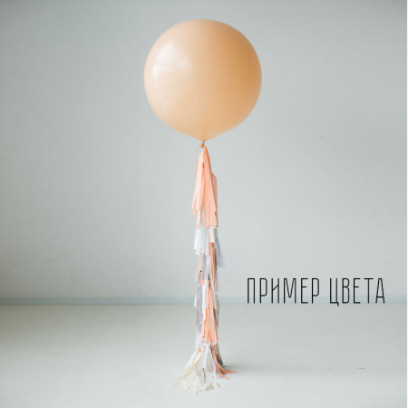 S 24 Пастель Персик 1шт (Колумбия) 60см