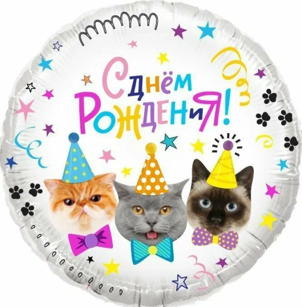 Шар (18"/46 см) Круг, Котики, С Днем Рождения! 1 шт