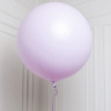 S 24 Пастель матовый Сиреневый1шт (Колумбия) 60см