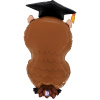 Шар 3D (30"76 см) Фигура, Сова Выпускник